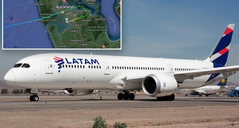 50人在从澳大利亚飞往新西兰的波音飞机上因“剧烈运动”受伤